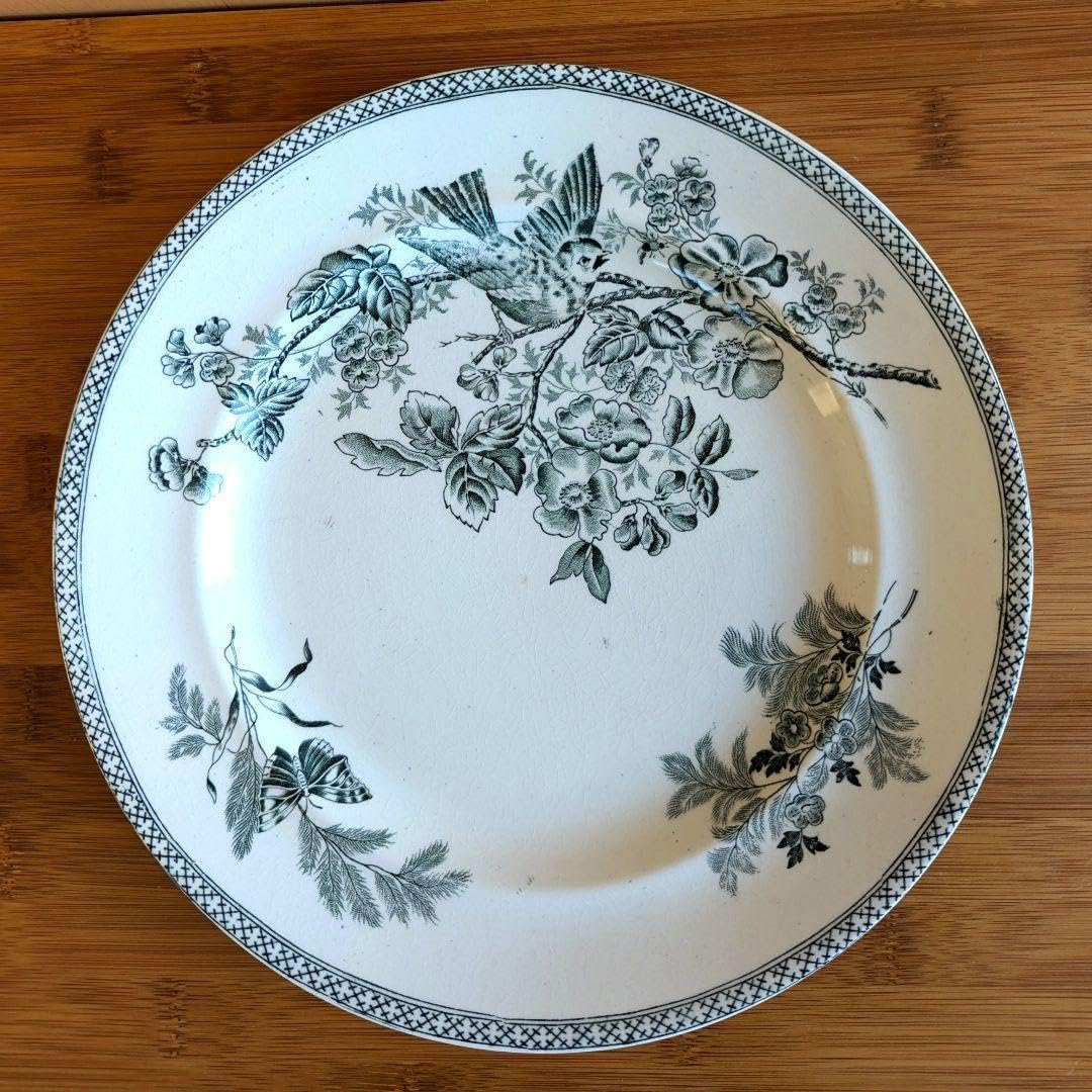 LA MUSA ラムーザ　イタリア　陶器皿プレート D【送料込】 LA MUSA ラムーザ イタリア 陶器皿プレート D【送料込】